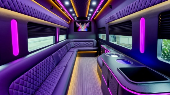 nampa sprinter limo rental rental